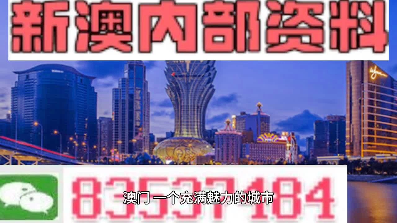 新澳新澳门正版资料;-精选解析，真实数据解释定义_轻量版1.22.856