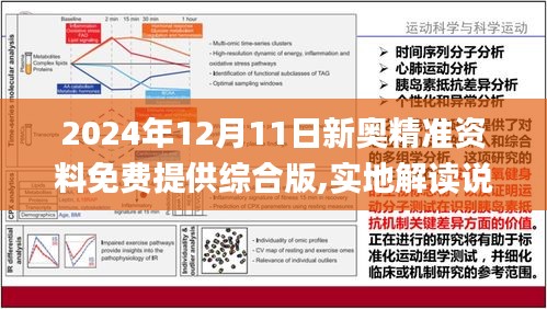 新澳大全2025正版资料;-精选解析，实用释义解释落实